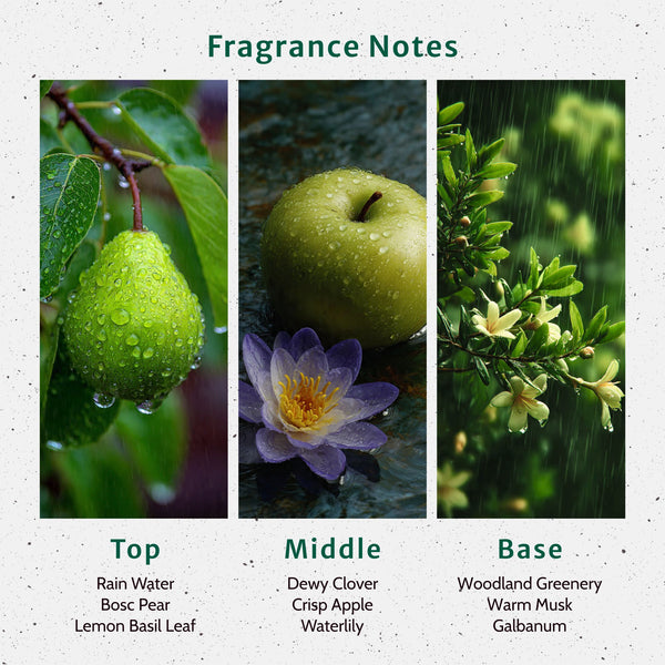 Turn a New Leaf Fragrance Oil