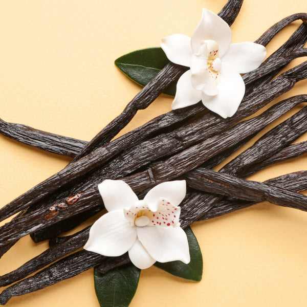 Vanilla Bean Fragrance Oil
