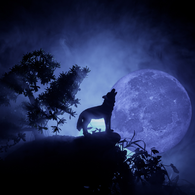 Werewolf Fragrance Oil