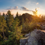 Wild Wilderness Fragrance Oil