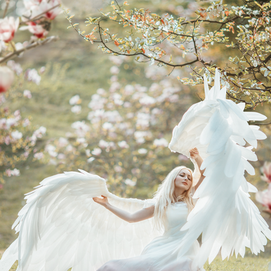 Wishing for You Fragrance Oil