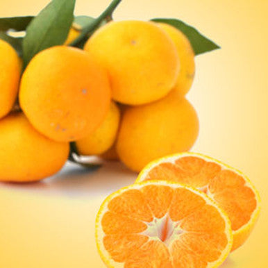 Satsuma Fragrance Oil