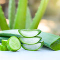 Aloe Vera & Cucumber Fragrance Oil