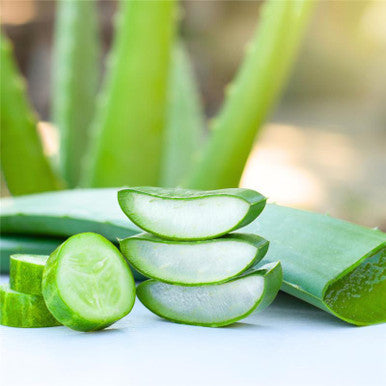 Aloe Vera & Cucumber Fragrance Oil