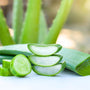 Aloe Vera & Cucumber Fragrance Oil