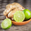 Ginger Lime Fragrance Oil