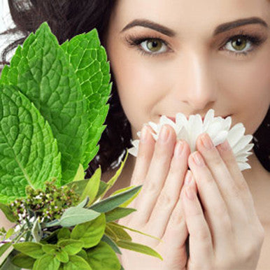 Sinus Relief Fragrance Oil