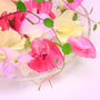 Sweet Pea Fragrance Oil