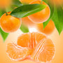 Tangerine Dreams Fragrance Oil